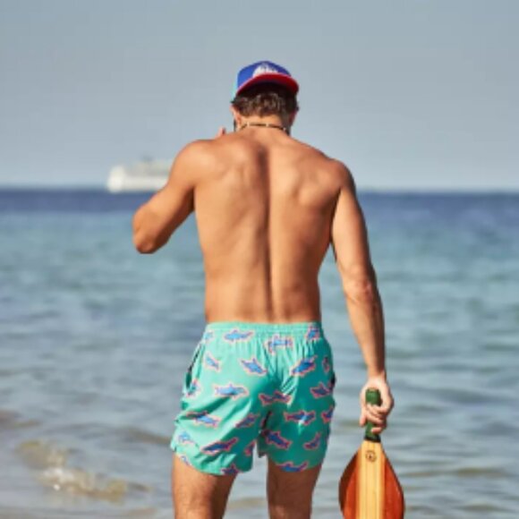 Chubbies Men's Classic 5.5" Swim Trunks - Apex Swimmers - Picture 7 of 7